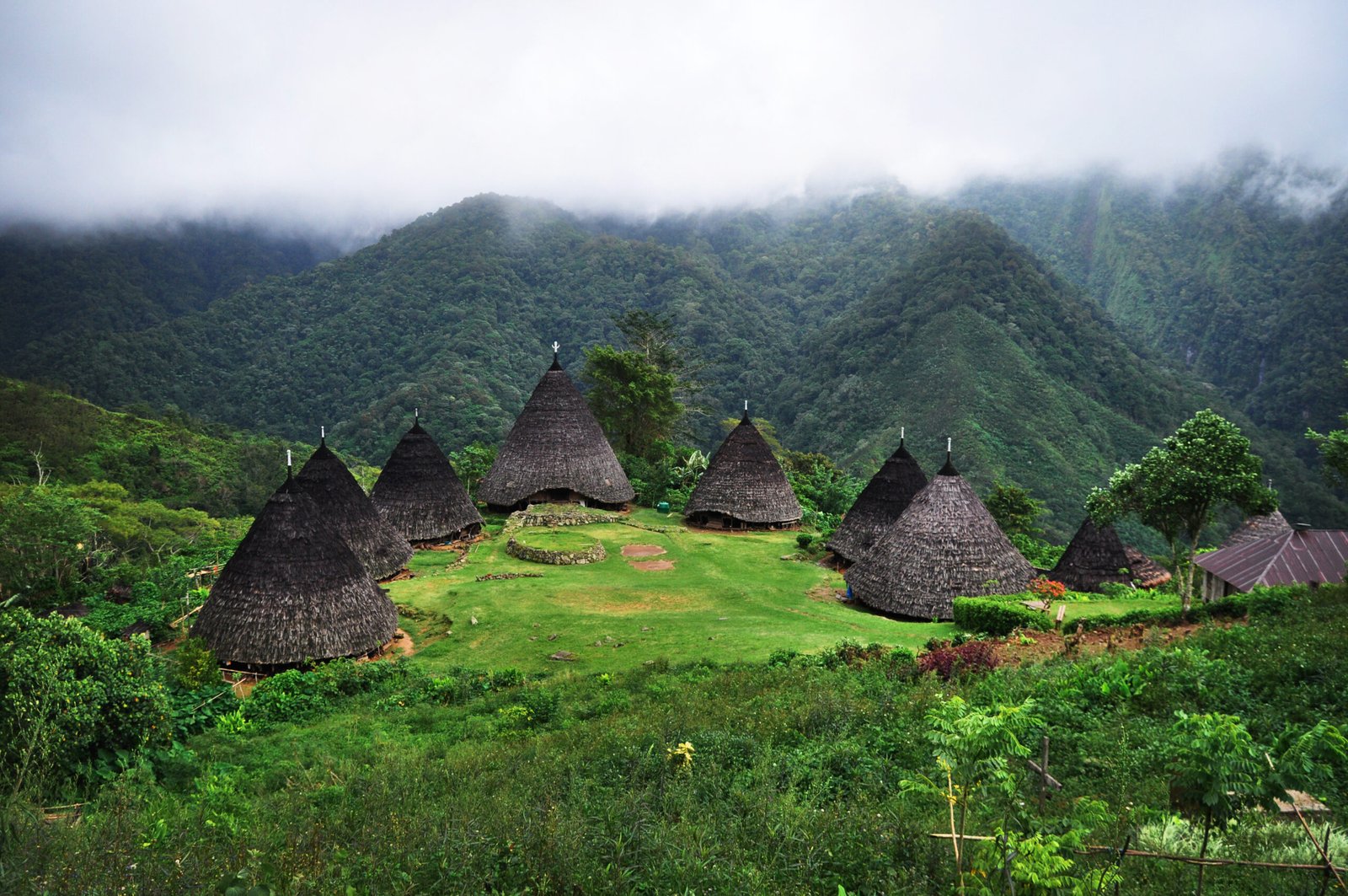 mbaru niang traditional village on wae rebo