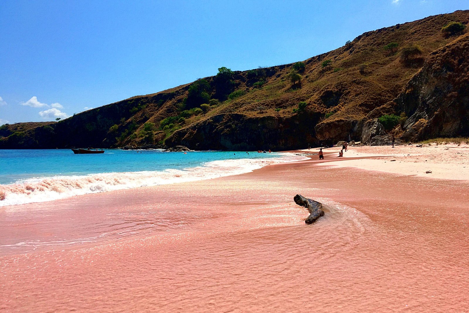 pink sand on pink beach komodo national park